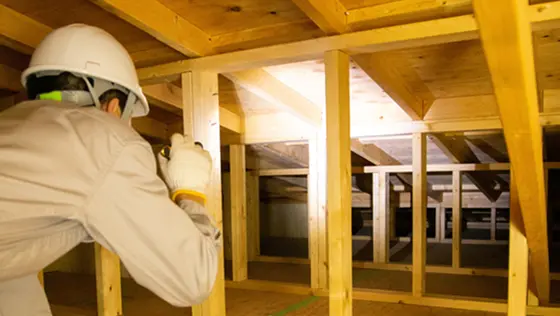 屋根裏で害虫や害獣の駆除作業を行っている様子